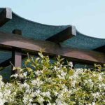 uZrTHraBFXOlu-d1rSCFkiW9EXVxvRV1Ft4RdaW753VluRl3Zb8VNw